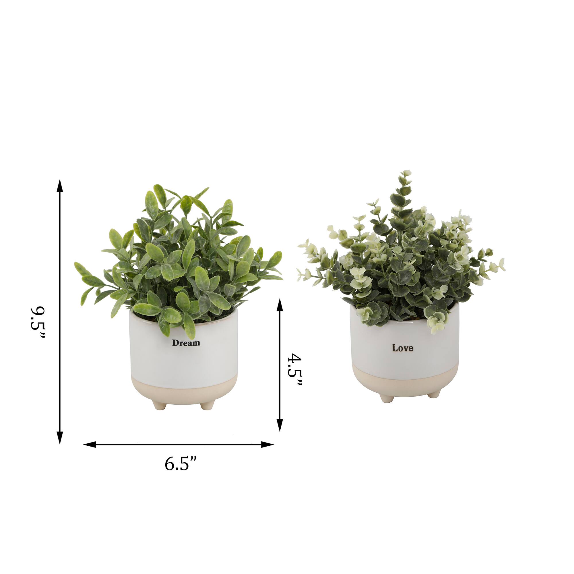 Flora Bunda® 4.75" Eucalyptus In Tea Leaf In Dream Ceramic & Love Text Footed Set